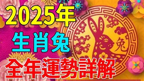 2024屬兔每月運勢|【2024屬兔運程】2024年屬兔運程全解析｜運勢大 